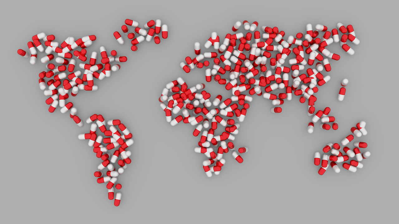 The WTO and Pharmaceutical Access in Developing Countries