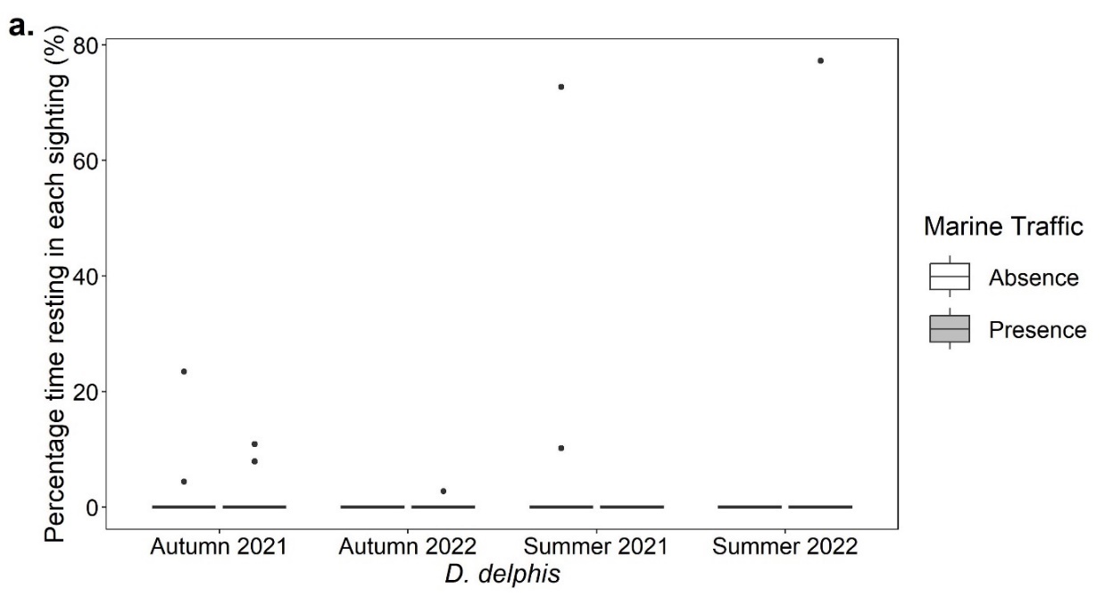 Boxplots showing the percentage time for each sighting (%) that Delphinus delphis exhibited resting behaviour in the presence and absence of marine traffic in the autumn of 2021 and 2022 and the summer of 2021 and 2022. All data shows an average percentage of zero.