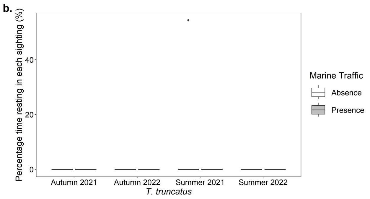 Boxplots showing the percentage time for each sighting (%) that Tursiops truncatus exhibited resting behaviour in the presence and absence of marine traffic in the autumn of 2021 and 2022 and the summer of 2021 and 2022. All data shows an average percentage of zero.