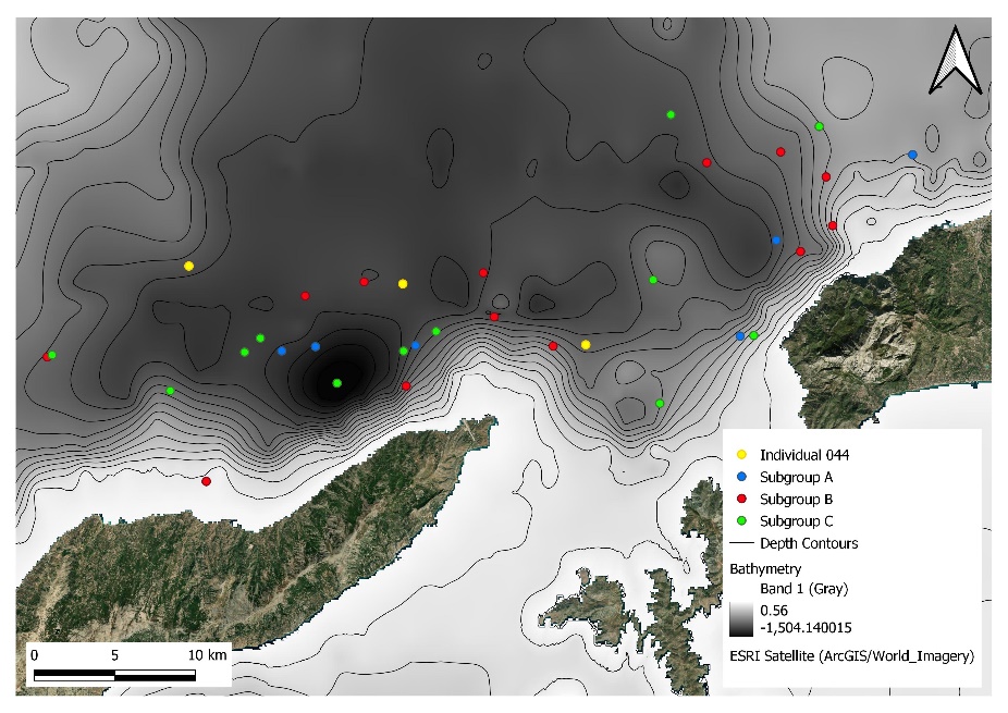 Topographic ocean map of the study area with depth contours. The distribution of individuals from each subgroup is shown by coloured points. Subgroup A is blue, Subgroup B is red, Subgroup C is green and Individual 044 is yellow. There is an even distribution of all subgroups throughout the study area.