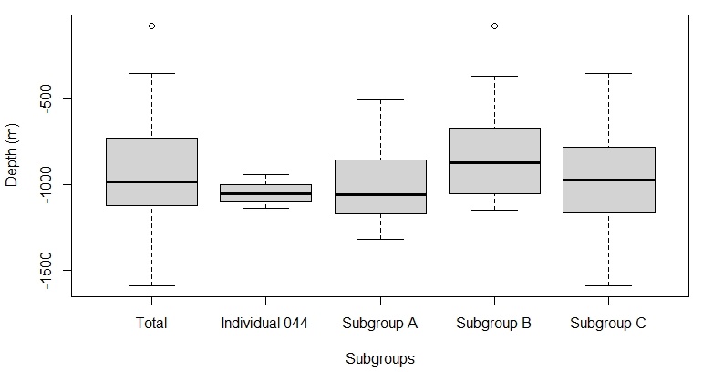 A graph showing box plots comparing the average depths (m) of Stenella coeruleoalba sightings. 5 box plots differentiate subgroup A, B, C, individual 044 and the total population. Tukey method box and whisker plots are displayed, where the thick black lines are the median values for each site. The average depth for the total population was 1000 metres. Individual 044 has the smallest range, while Subgroup C has the largest.