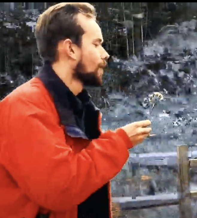 An edited photograph of a person holding a plant and blowing the seed pods off of it. They are outdoors, wearing a red coat which stands out against the grey background of nature.
