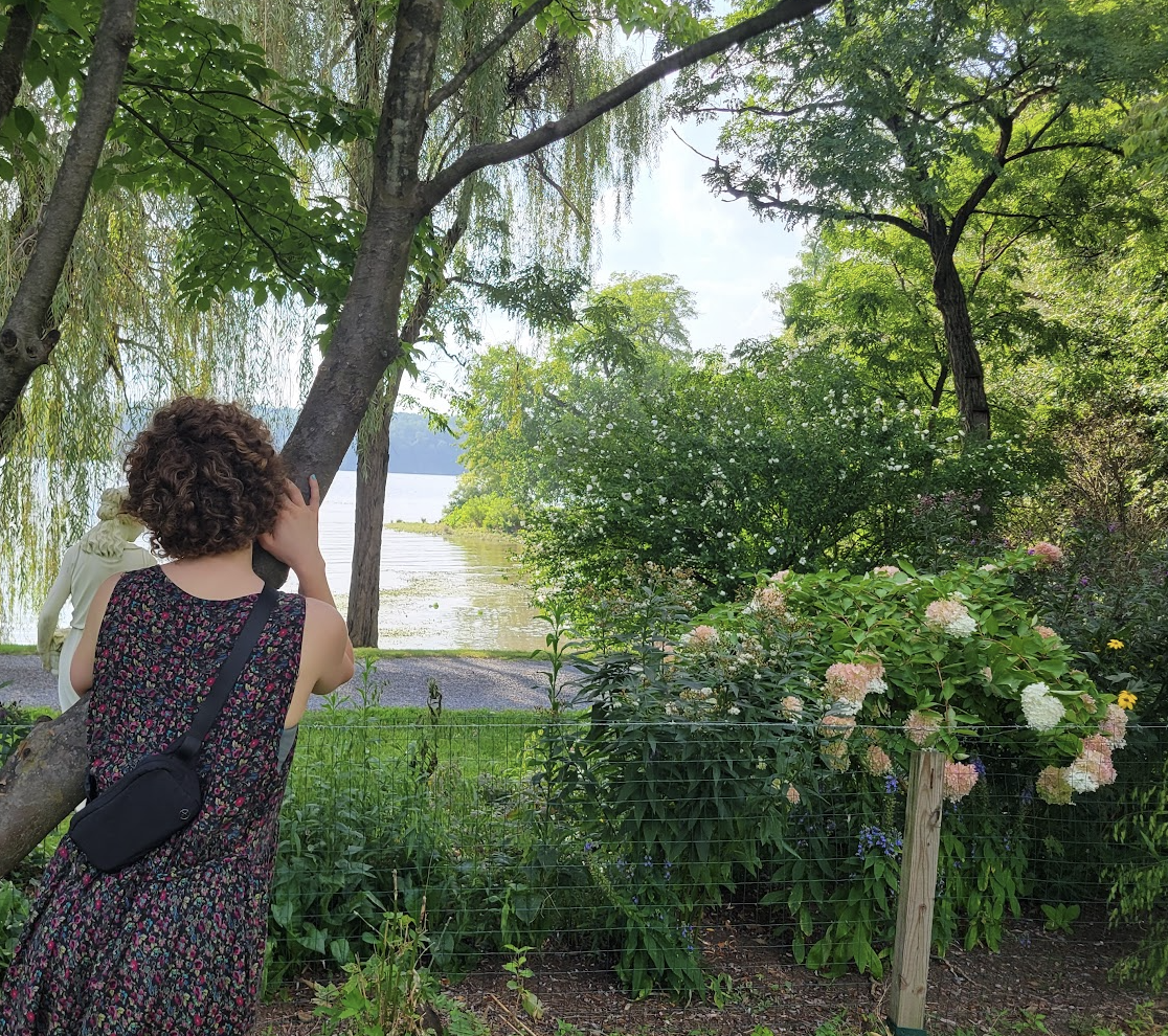 A photograph of a person from behind who is touching a tree, looking at a Greek-style statue that is partially visible in front of them. There are on a flowery riverbank, a medium-height wire fence between them.