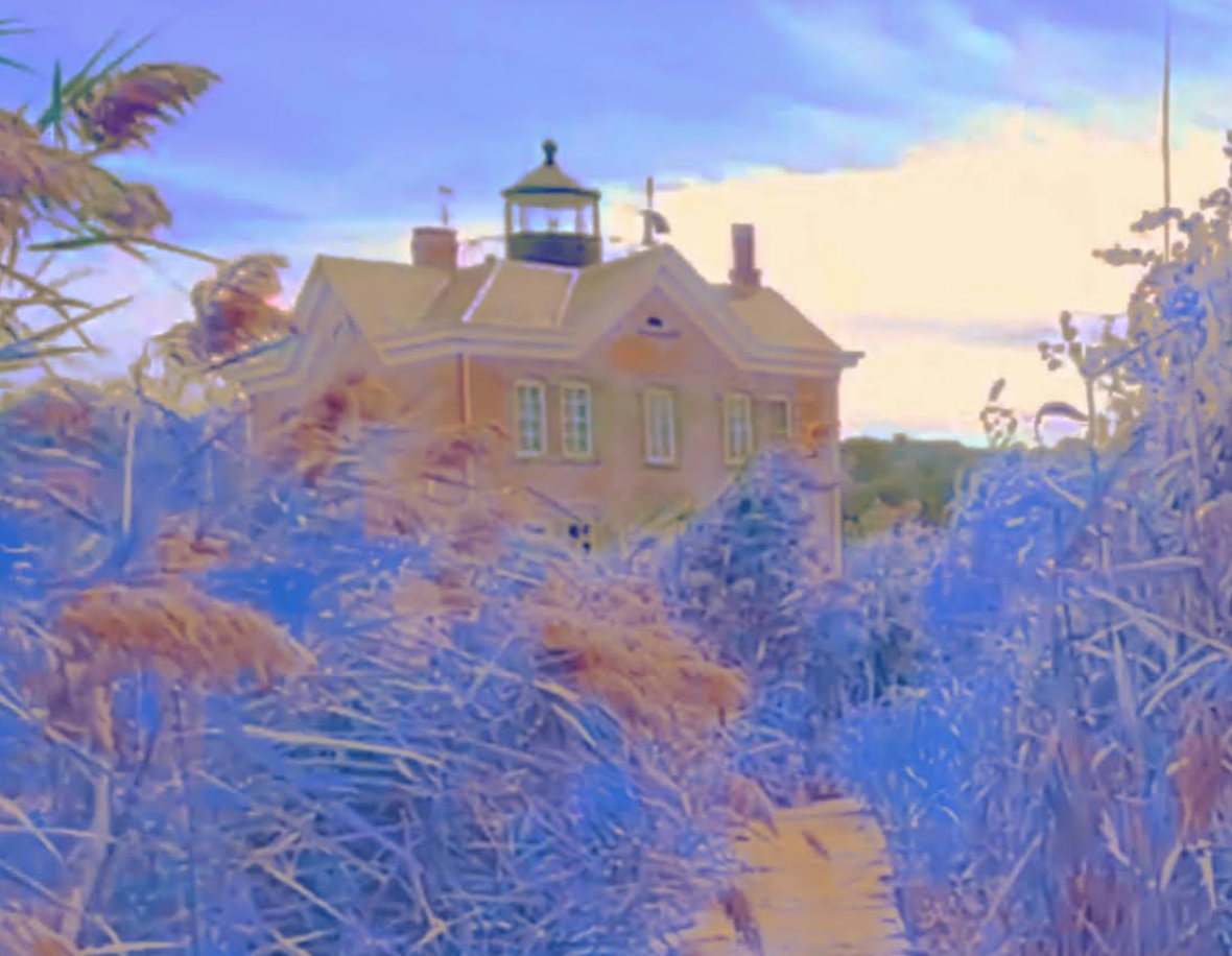 An image of a large orange house that has what appears to be a lantern room on its roof. The house is viewed from a short distance away, with tall purple/blue plants taking up the bottom half of the image.