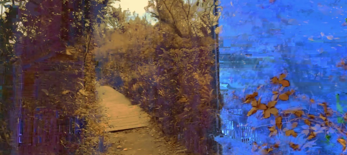 The left side of the image looks like an old brown photograph depicting a bridge between tall bushes. The right side of the image contrasts greatly with the left, as it is bright blue rectangle with a few brown leafy branch on it.