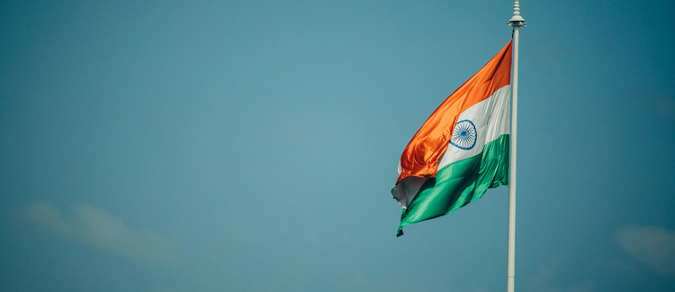Claiming a History: The 2012 Cartoon Controversy and Public History debates in Contemporary India