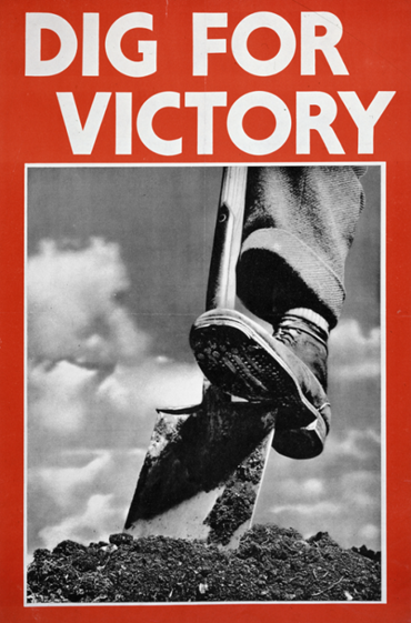 Dig for Victory