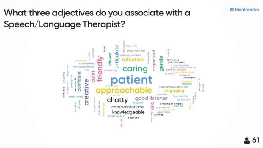 Image of adjectives that are stereotypically used to describe a Speech/Language Therapist.